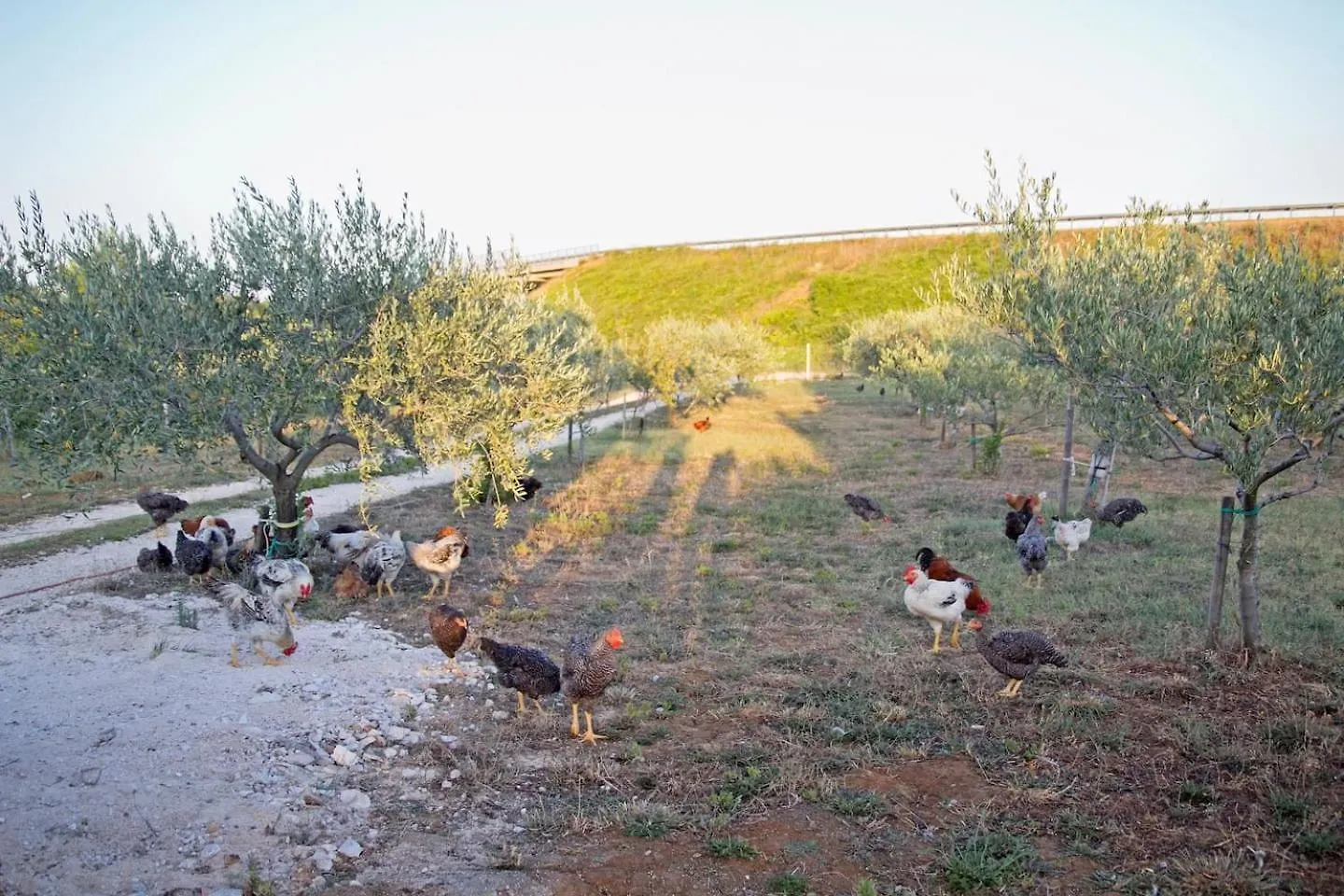 Fairy Of Velebit Unique Countryside House Villa Posedarje Croatia